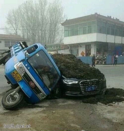 當奧迪遇上拉糞車.jpg