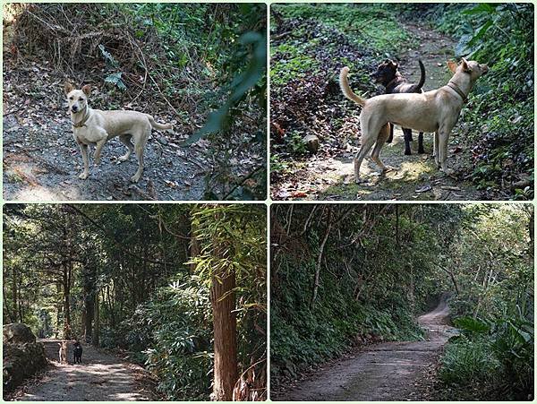 Hiking in Guguan｜Mountain Baim