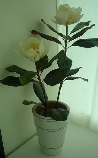 花1.jpg