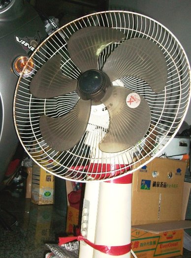 100_4307.JPG