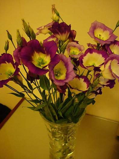 DSC09808.JPG