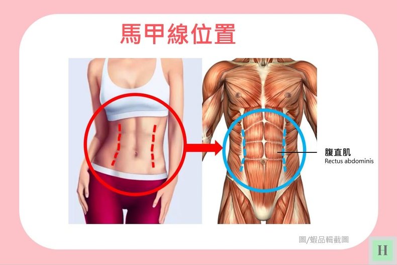 馬甲線位置