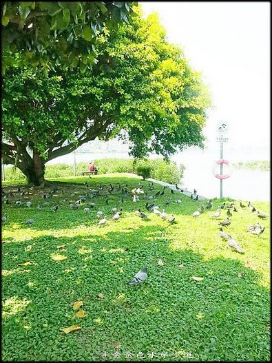 金色水岸自行車步道_049.jpg