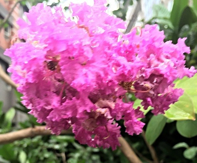 北投 (9)