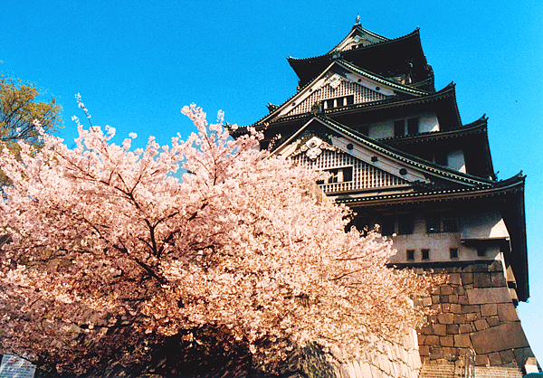 日華旅遊,日本旅遊,東京旅遊,北海道旅遊,日本自由行,北陸,大阪,九州,京都旅遊,沖繩自駕,海島渡假,迷你小團