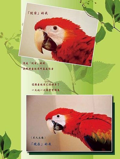 C-BIRDS-EB-S_頁面_106.jpg