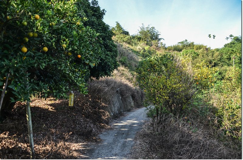 竹崎木柵寮山登山路徑