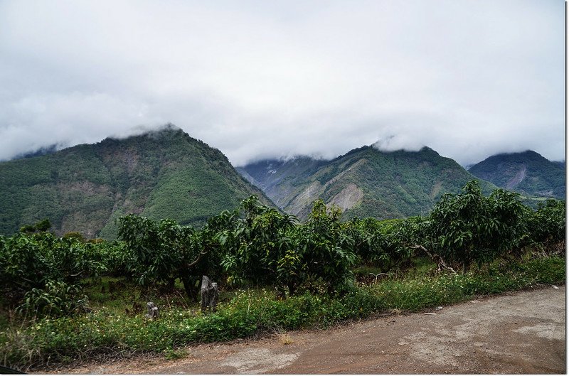 歐帕喀爾山土產道登山口西北往濁水溪山(L)