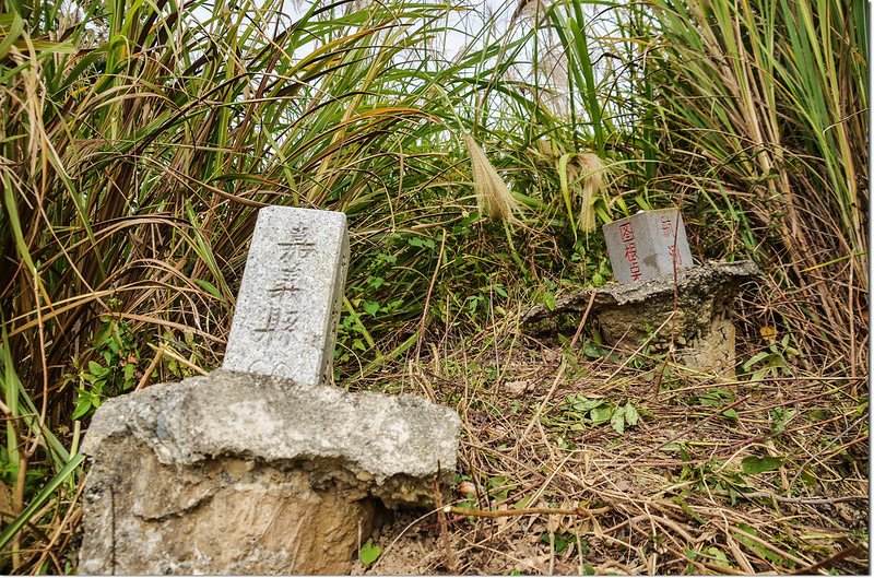 草湖子山航測F001圖根點與林務局嘉義縣60保安林控制點