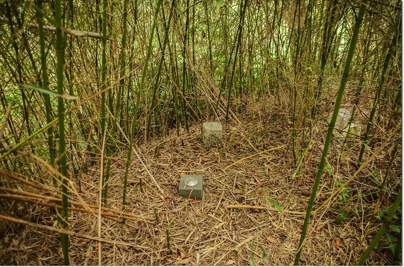 嘉義竹崎公館口山冠字澤(20)土地調查局圖根點與省府地政處測量局077三等控制點銅標（Elev. 107 m)