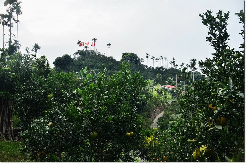 嘉義竹崎內埔山