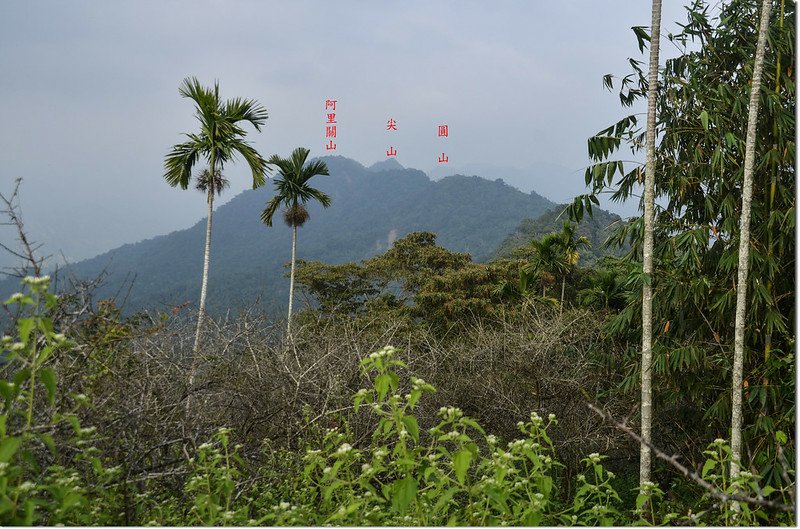 上四社寮山山頂北望群山 1-1