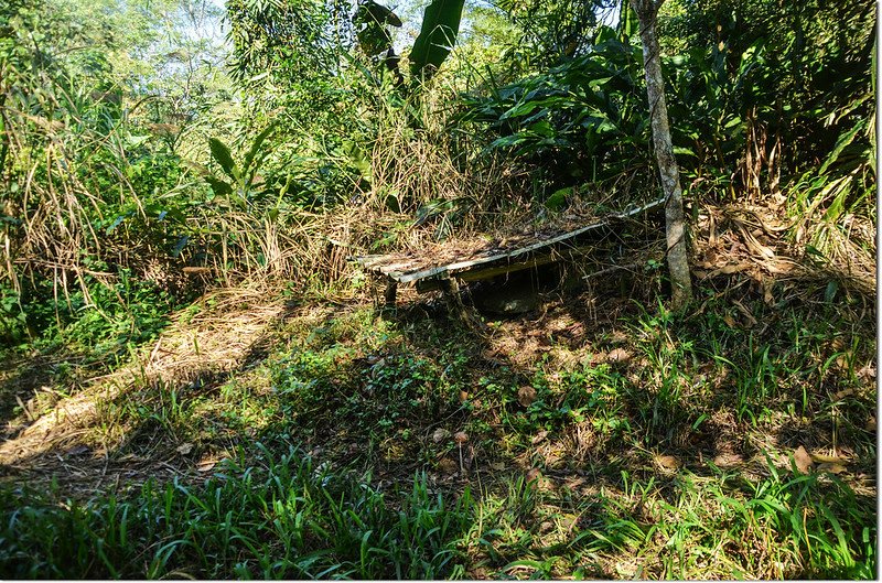 番子寮山稜線產道邊簡易土地公廟