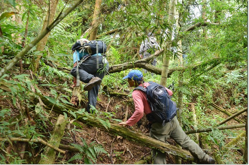 托亞奇伊山登山路徑 1