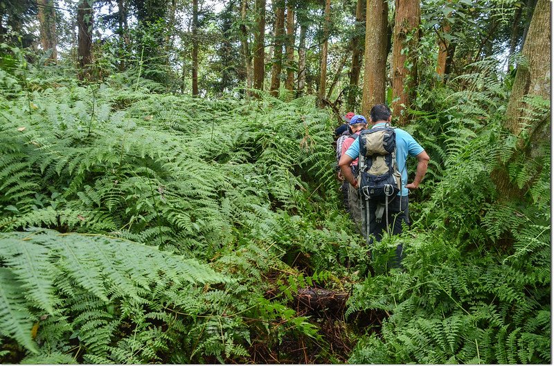 托亞奇伊山登山路徑 2