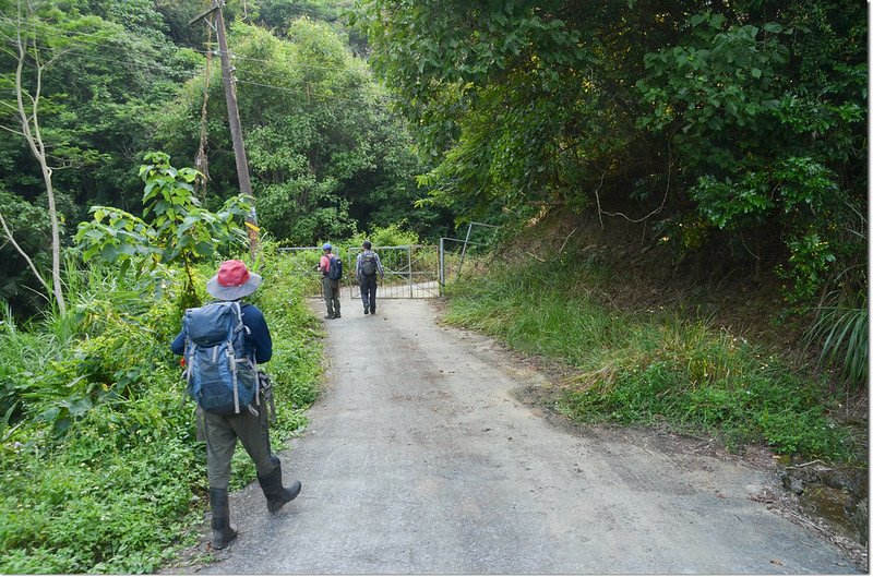 竹頭山農路