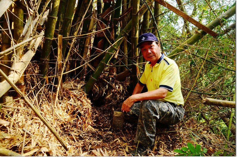 龍林厝山頂