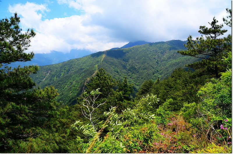 志良節山山頂展望 1