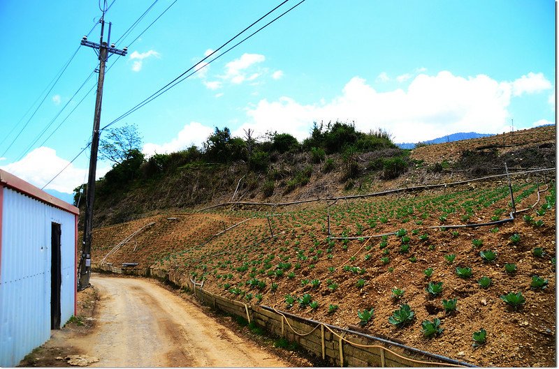 平岩山停車處望平岩山