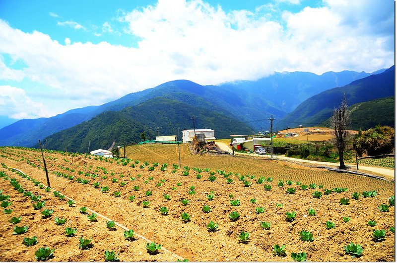 平岩山展望 3