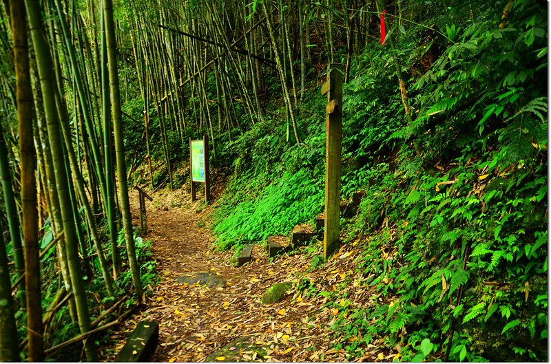 奮瑞古道、瑞太古道岔路