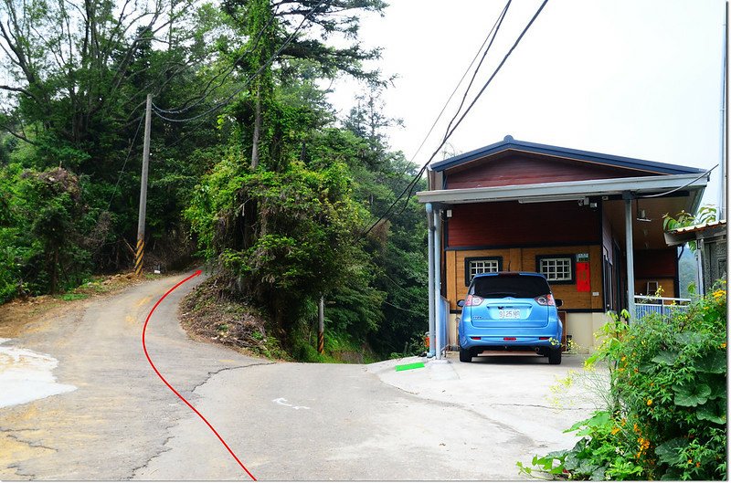 九芎坪山行車岔路