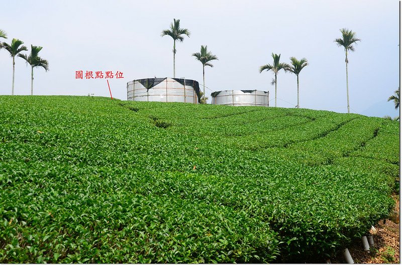 九芎坪山圖根點點位