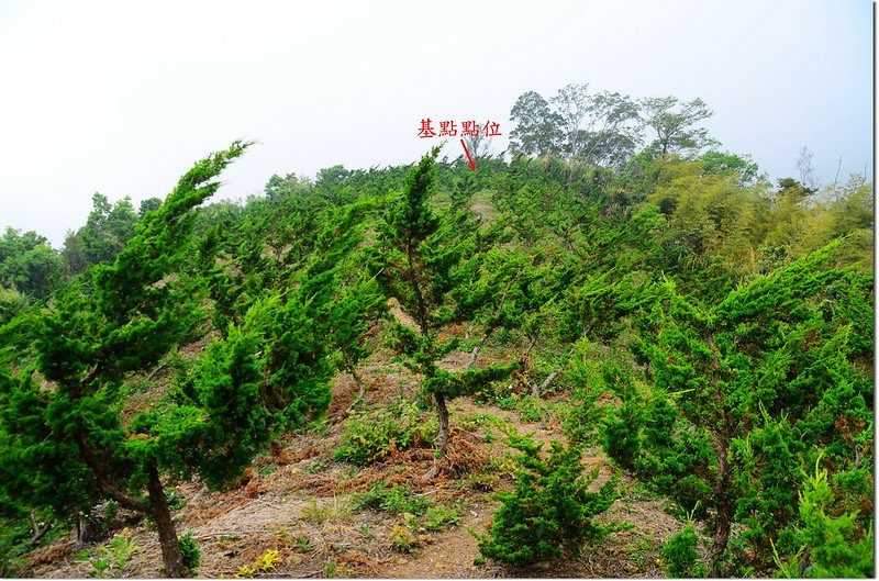 碧鳳山（碧湖山）稜線