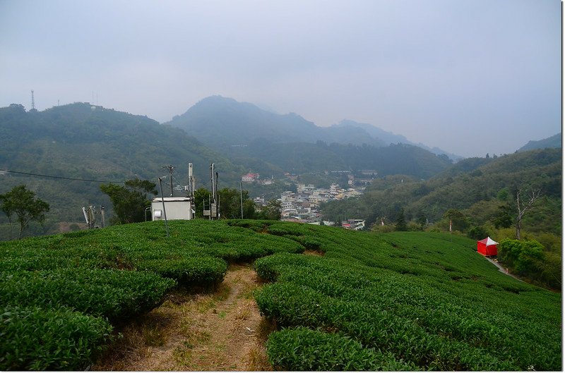 紅楠坑山(茅子埔山)北面展望