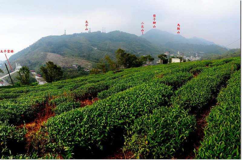 紅楠坑山(茅子埔山)北面展望 1-1