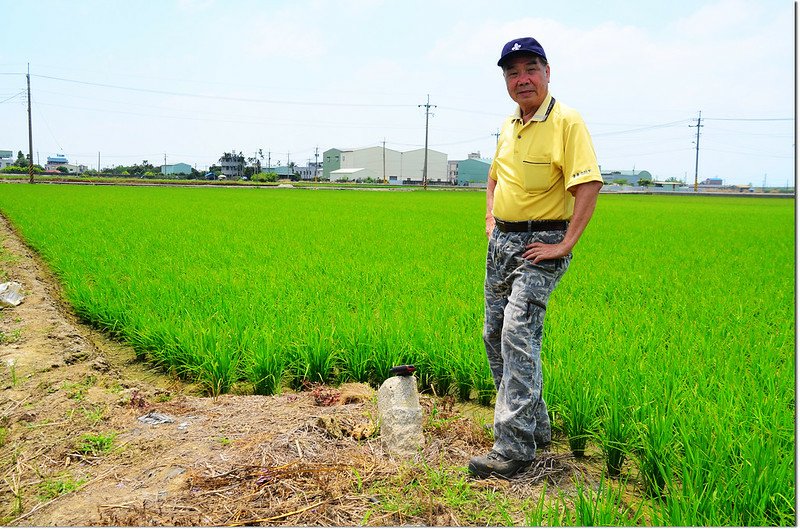 江竹腳土地調查局圖根點