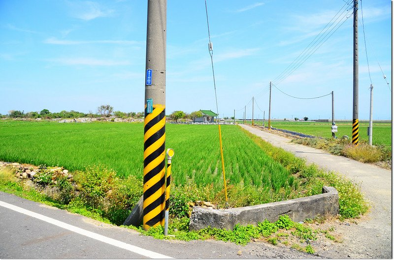 樹林頭行車岔路