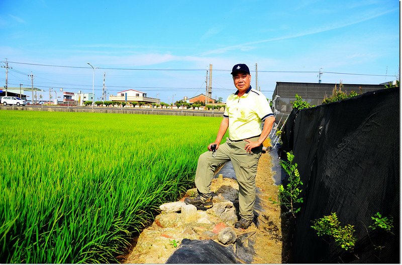 鴉母寮土地調查局圖根點