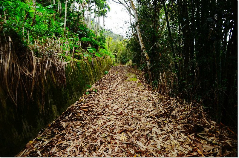 新武界山廢產道