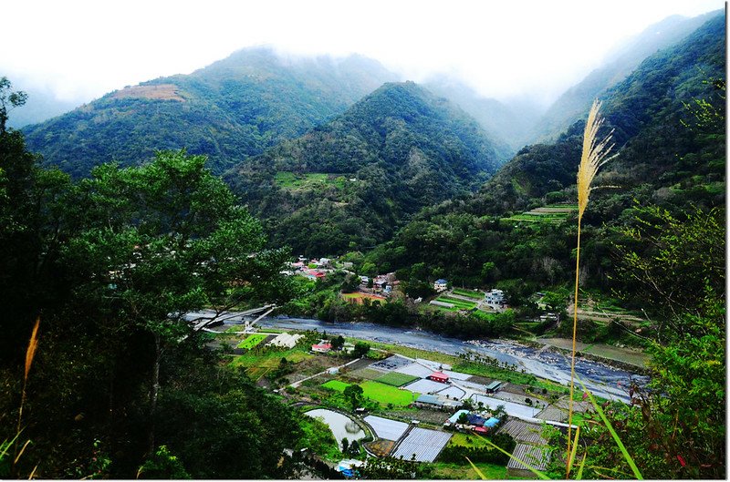 新武界山廢產道俯瞰武界（法治村）