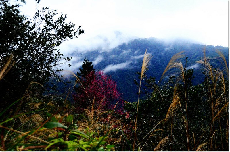 新武界山山景