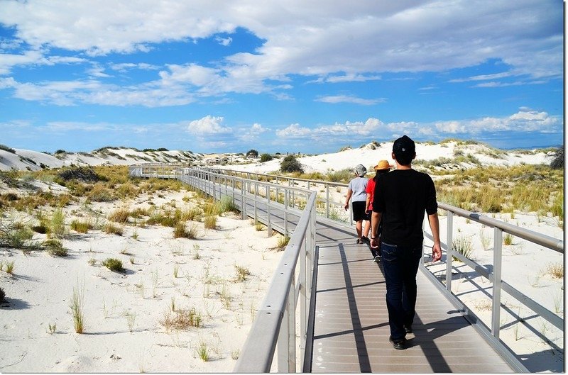 Interdune Boardwalk 2