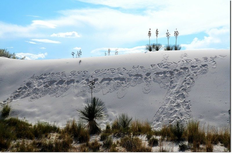 Interdune Boardwalk 4