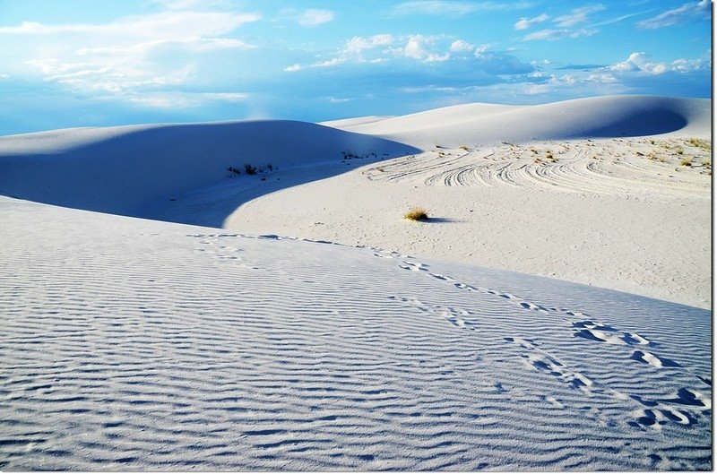 View of white sand dune with ripples in White Sands National Monument 5