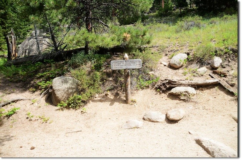 Lumpy Ridge Trail junction