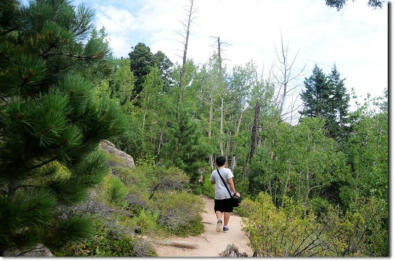 Lumpy Ridge Trail 5