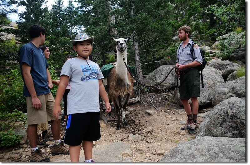 Jacob &amp; Llama