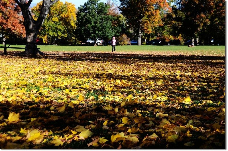 Chautauqua Park in Fall 2