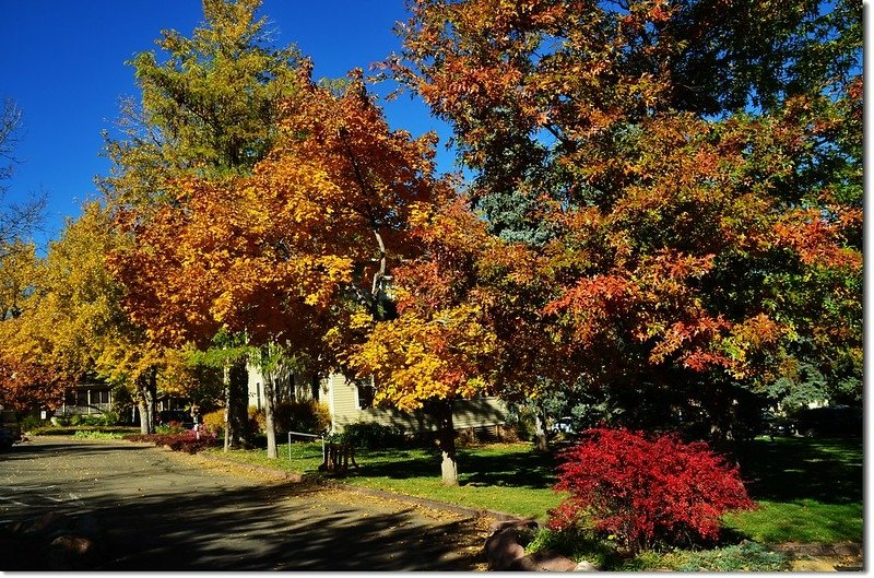 Chautauqua Park in Fall 5