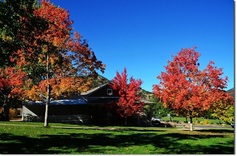 Sugar maple in Fall, Chautauqua, Boulder 10