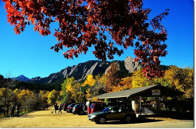 Oak(橡、櫟) in Fall, Chautauqua, Boulder 7