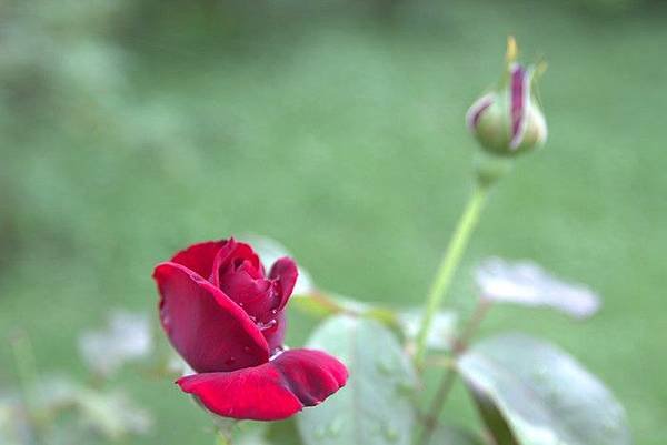 IMG_2912.jpg