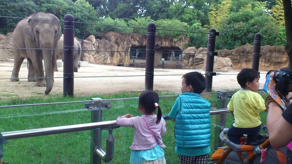 日本自由行 DAY3