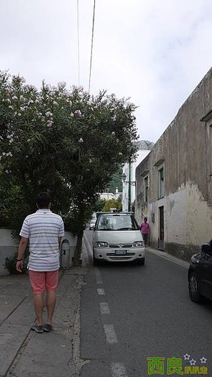 1 (1183).JPG