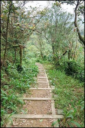 4腳亭砲台登山步道_88.jpg